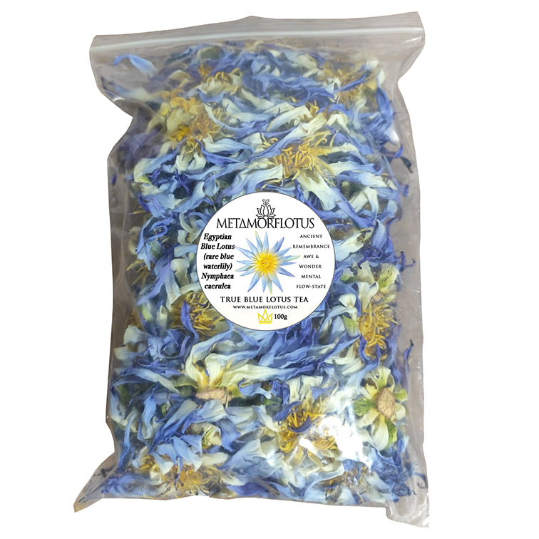 Egyptian True Blue Lotus Flower Tea