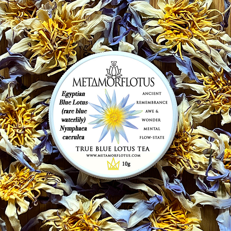 Egyptian True Blue Lotus Flower Tea