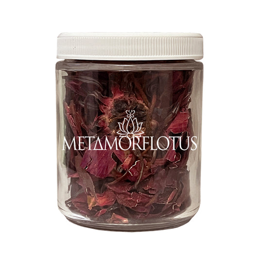 Red Lotus Passionately Held Tantric Tea