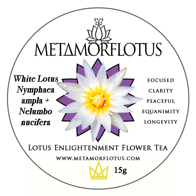White Lotus Enlightenment Flower Tea