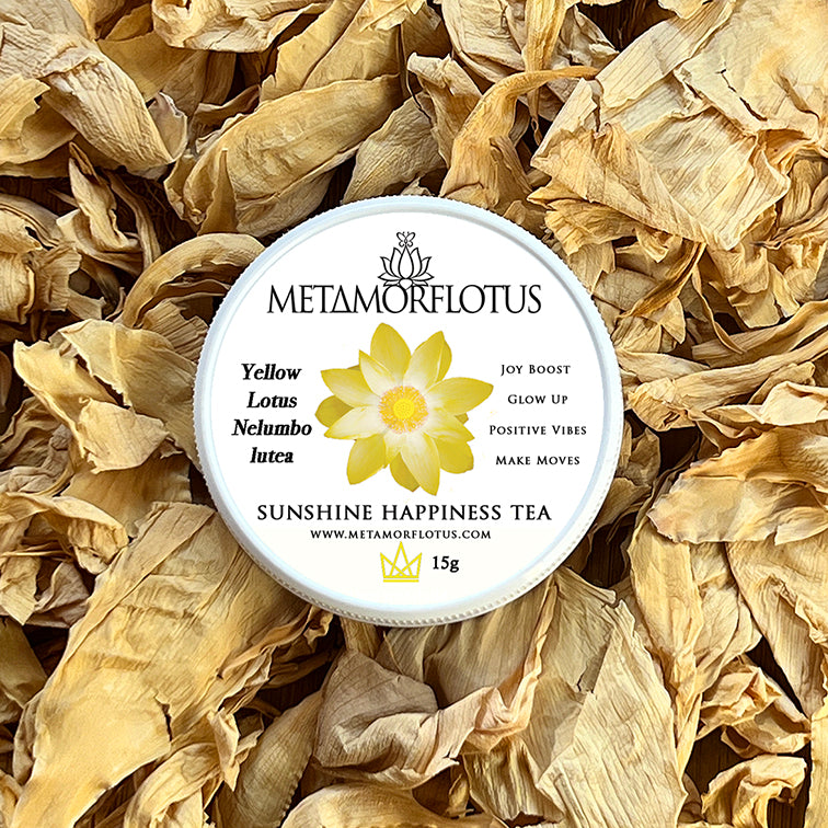 Yellow Lotus SunShine Happiness Flower Tea