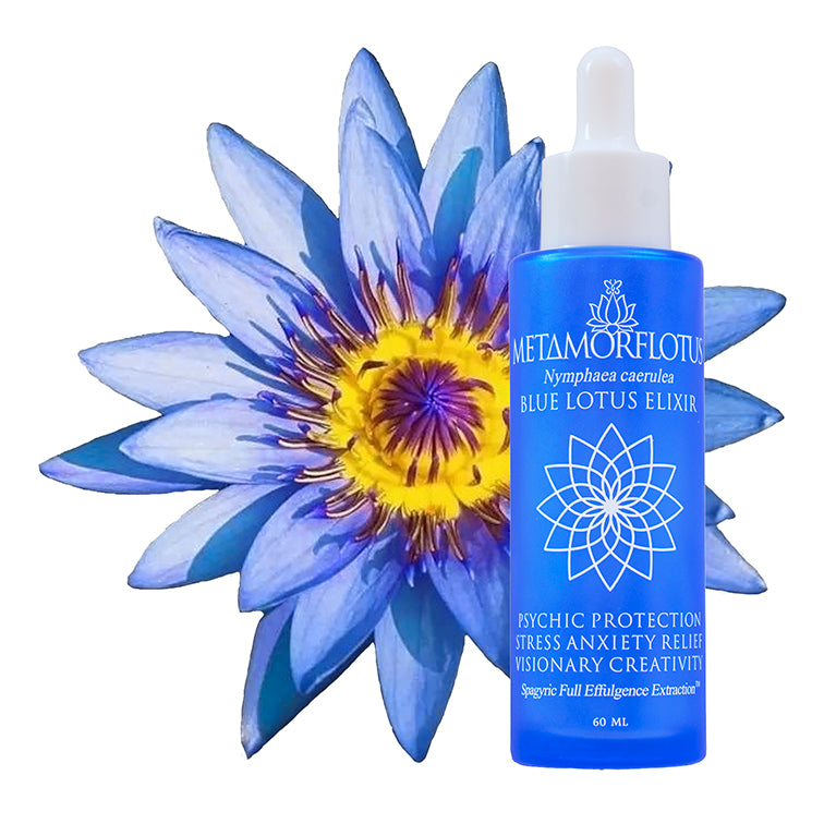 Blue Lotus Spagyric Elixir